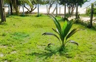 Imagem 11: Casa na praia ? Casa com 1 dormitório