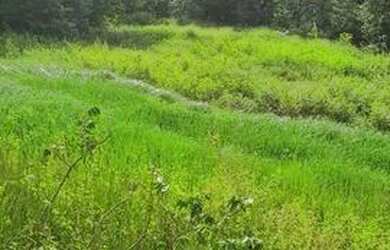 Imagem: O terreno possui 1000000m² de Área e está localizado em Pedro