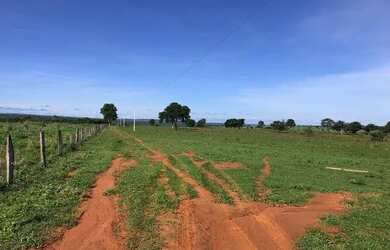 Imagem 5: Otima fazenda a venda. 