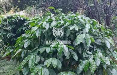 Imagem 7: LINDA CHACARA NA ESTRADA DA PRODUÇÃO A 13 KM DE MONTES CLAROS COM OTIMA...