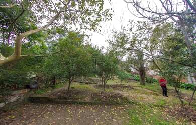 Imagem 16: DUAS CASAS MISTAS 5 DORM, TERRENOS 18X65=1.170m²