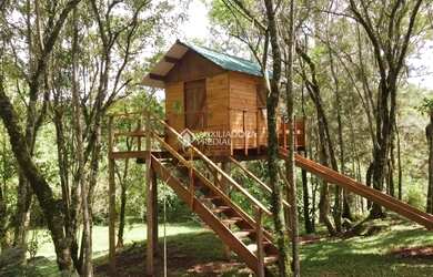 Imagem 16: SITIO EM NOVA PETRÓPOLIS