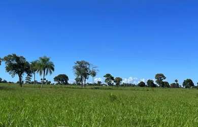 Imagem 7: Fazenda com 1.433 Hectares - IACIARA - GO -R$. 42 Milhões