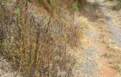Imagem 7: Casa para alugar no bairro Vila Torres - Campo Largo/PR