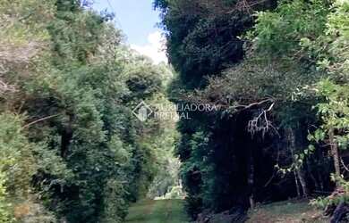 Imagem 6: SITIO EM NOVA PETRÓPOLIS