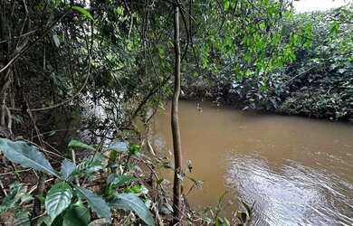Imagem 15: Lote com 7 mil metros em Bela Vista de Goiás, com rio Piracanjuba nos...