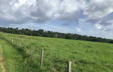 Imagem 9: Porteira fechada 400 hectares no Pará pronta por R$ 3.6 milhões