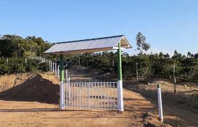 Imagem 16: Troco lindo sítio por carro no mesmo Valor