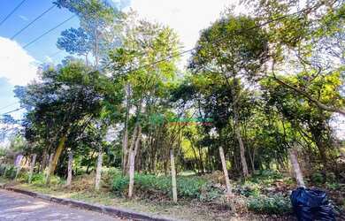 Imagem 3: Terreno à venda, 1000 m² por R$ 275.000,00 - Chácara Rincão - Cotia/SP