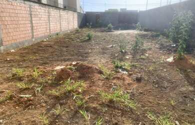 Imagem 4: Lote. 450m² de Área