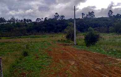 Imagem 3: Lote/Terreno para venda tem 600 metros quadrados em Centro São João...