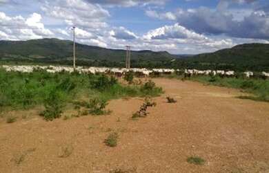 Imagem 7: Vendo Fazenda com 77 Alqueires, Plana e Beira de Asfalto em Padre Bernardo-GO