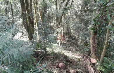 Imagem 6: Terreno à venda em Canela