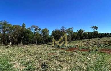 Imagem 6: Área de 24.000m² no Perímetro Urbano de Cascavel/PR Excelente Oportunidade por R$3.600.00