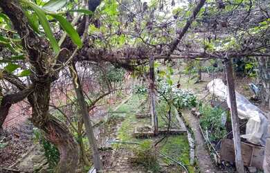 Imagem 8: DUAS CASAS MISTAS 5 DORM, TERRENOS 18X65=1.170m²