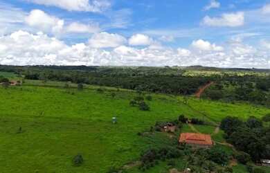 Imagem 7: Fazenda de 10 alqueires (girassol px Brasília