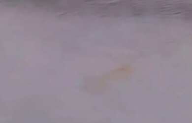 Imagem: A casa possui 3 Dormitórios, 2 Banheiros e 15000000m² de Área