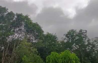 Imagem 3: Vende se um sítio na estrada de novo Airão,150 de frente por 1000 de...