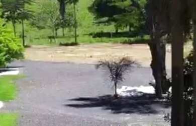 Imagem 11: Fazenda Shangrilá Água Abundante Goiás