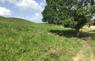 Imagem 4: Porteira fechada 400 hectares no Pará pronta por R$ 3.6 milhões