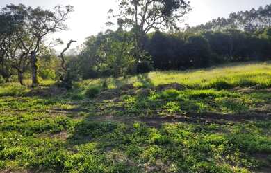 Imagem 8: Lote/Terreno para venda 500m² - Nazaré Paulista - São Paulo
