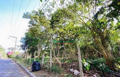 Imagem 2: Terreno à venda, 1000 m² por R$ 275.000,00 - Chácara Rincão - Cotia/SP