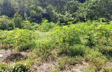 Imagem: O terreno possui 1.000m² de Área, Imóvel novo e está localizado