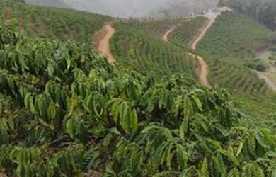 Imagem 2: Vendo propriedade Pancas