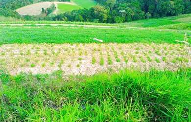 Imagem: O terreno possui 600m² de Área e está localizado em Centro