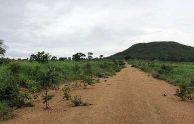 Imagem 14: Vendo Fazenda com 77 Alqueires, Plana e Beira de Asfalto em Padre Bernardo-GO
