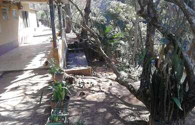 Imagem: A fazenda possui 4.000m² de Área e está localizado em Nazaré