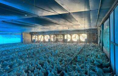 Imagem: A fazenda possui 72.000m² de Área e está localizado em Vila