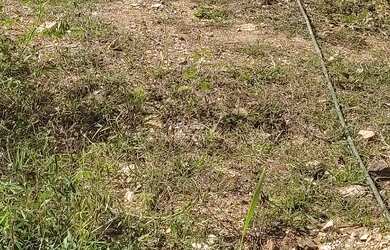 Imagem: O terreno possui 48m² de Área e está localizado em Inhoaíba