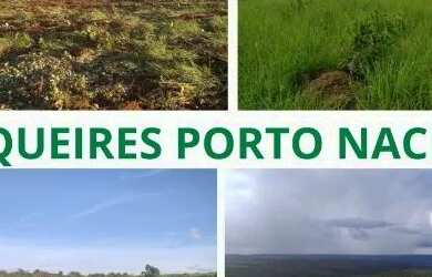 Imagem: A fazenda e está localizado em Porto Nacional, TO à venda