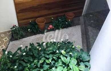 Imagem 6: São Paulo - Casa Padrão - Mooca