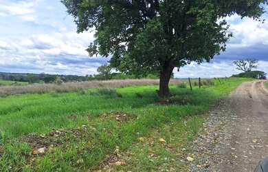 Imagem 7: Area Rural 15,5 Hectares Castelo Branco /Poranga/SP