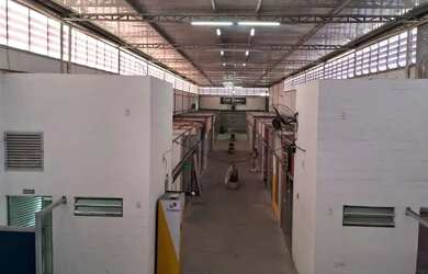 Imagem 2: Galpão em Rocha Miranda 700 m² Locação por R$ 13.192/mês ou venda...