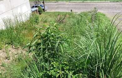 Imagem 6: Terreno,bairro Nossa Senhora da Saúde