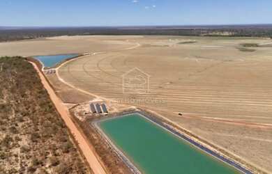 Imagem 6: ARINOS MINAS GERAIS FAZENDA PRONTA PARA PRODUÇÃO COM ALTO POTENCIAL