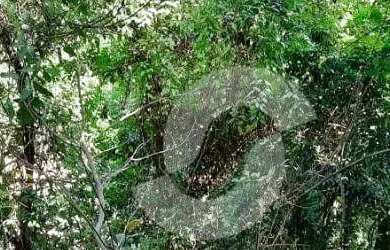 Imagem: O terreno possui 760m² de Área e está localizado em Engenho