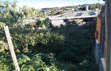 Imagem 5: Terreno,bairro Santa Catarina