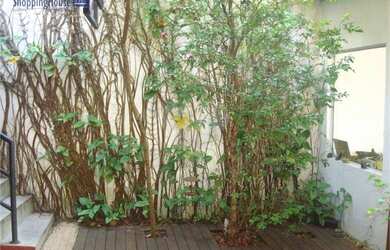 Imagem 9: Sobrado com 3 dormitórios, 120 m² - venda por R$ 1.699.999,99 ou aluguel...