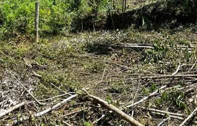 Imagem: O terreno possui 1.000m² de Área e está localizado em Juquitiba