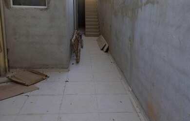 Imagem 16: CASA ASSOBRADADA - RIBEIRÃO DOS PORCOS - SP