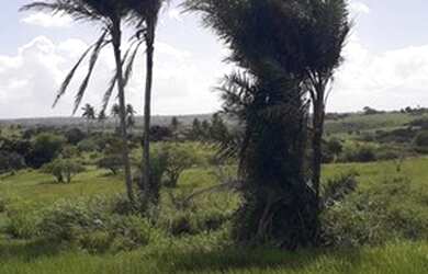 Imagem: O terreno possui 5m² de Área e está localizado em Glória