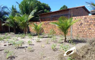 Imagem: O terreno possui Imóvel novo e está localizado em Paço do