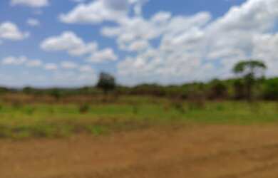 Imagem: O terreno à venda possui e está localizado em Matozinhos