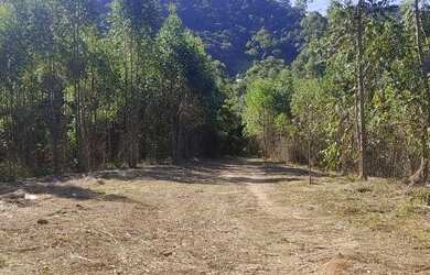 Imagem 16: Fazenda/Sítio/Chácara para venda possui 2000 metros venha realizar seu...
