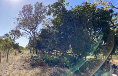 Imagem: O terreno possui 2.000m² de Área e está localizado em Brasília