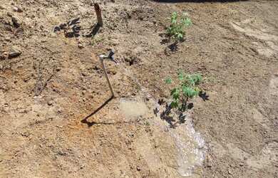 Imagem 4: Vendo este lindo terreno no residencial Novo paço